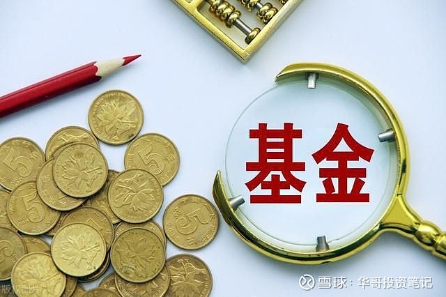 复盘公募基金的2023：误判和应对