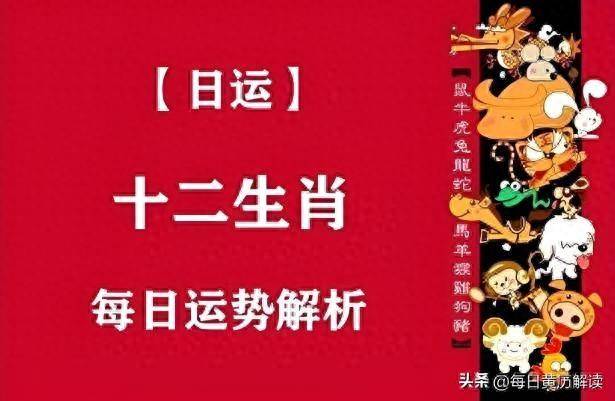 2024年10月7日今日松树皮价格最新行情走势