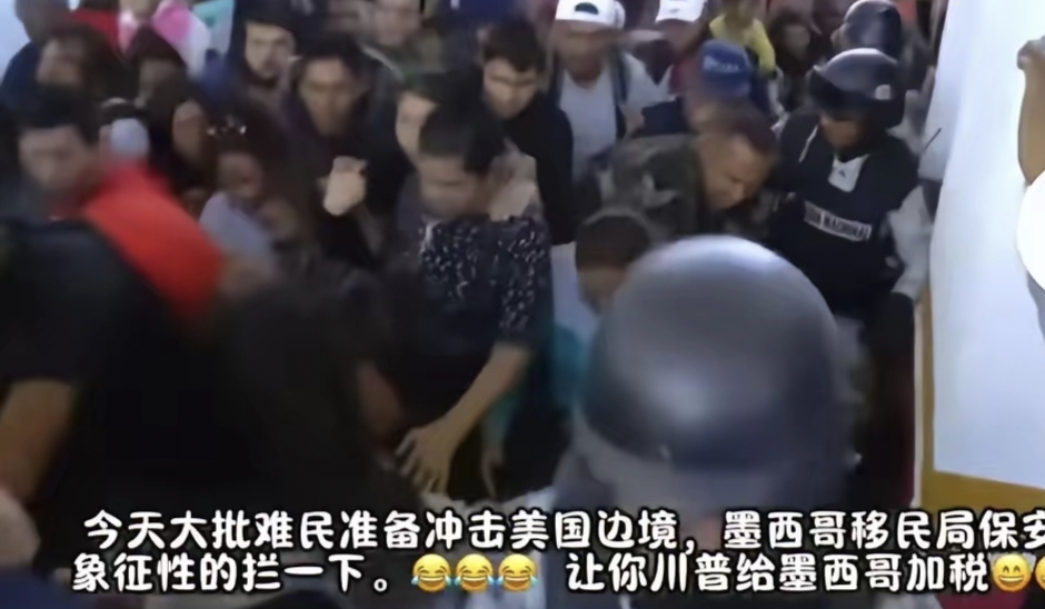 韩国关税厅与相关部门合作阻断濒危物种非法入境