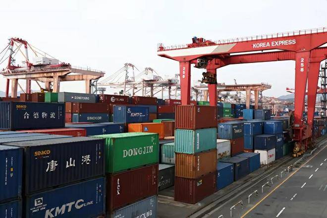 韩国关税厅与相关部门合作阻断濒危物种非法入境