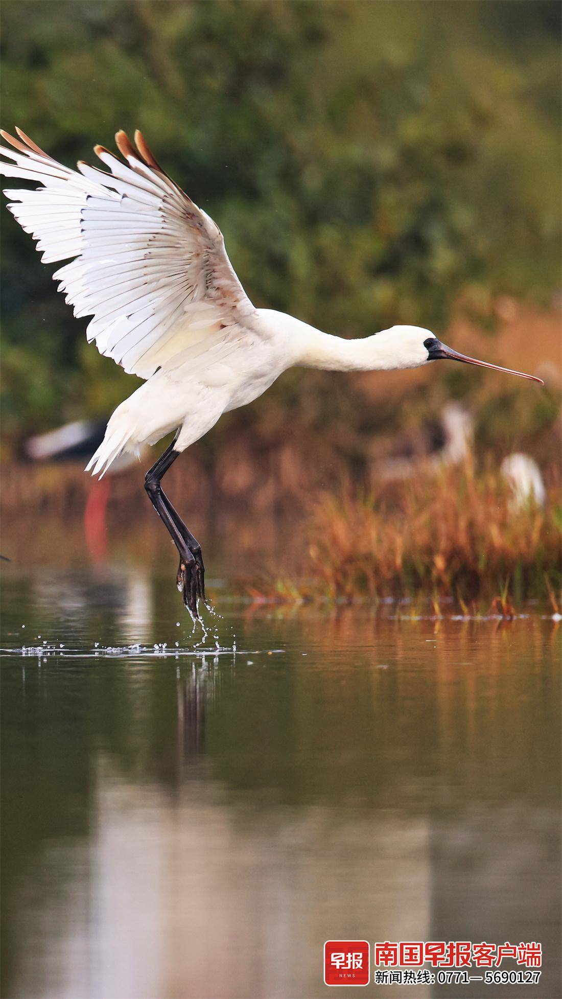 立方风控鸟·早报(5月10日)