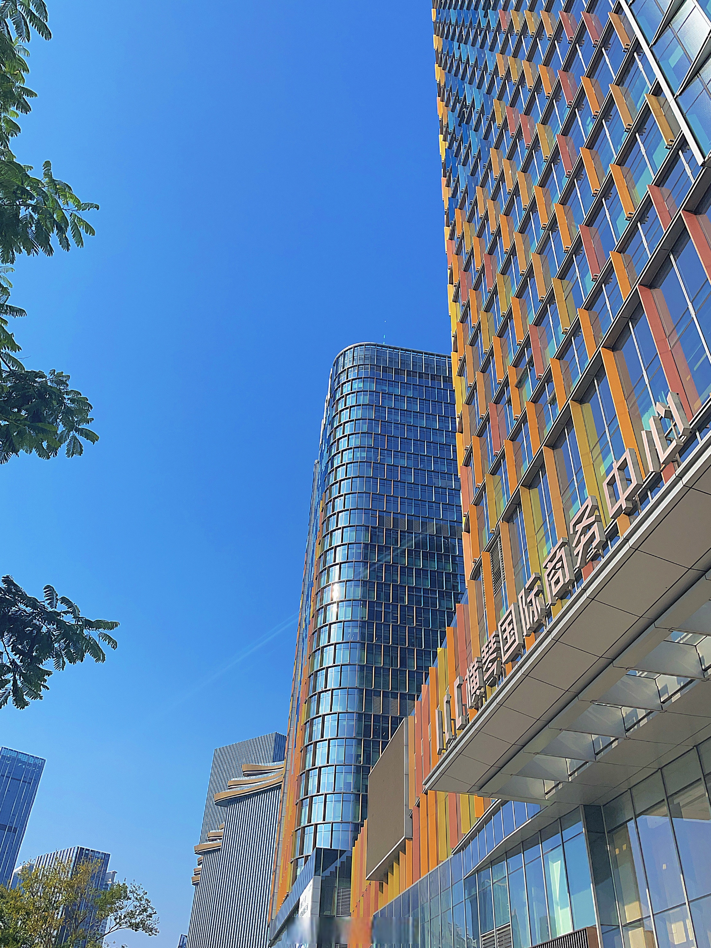 粤港澳大湾区“首店经济”蓬勃发展，茶百道澳门首店开业火爆