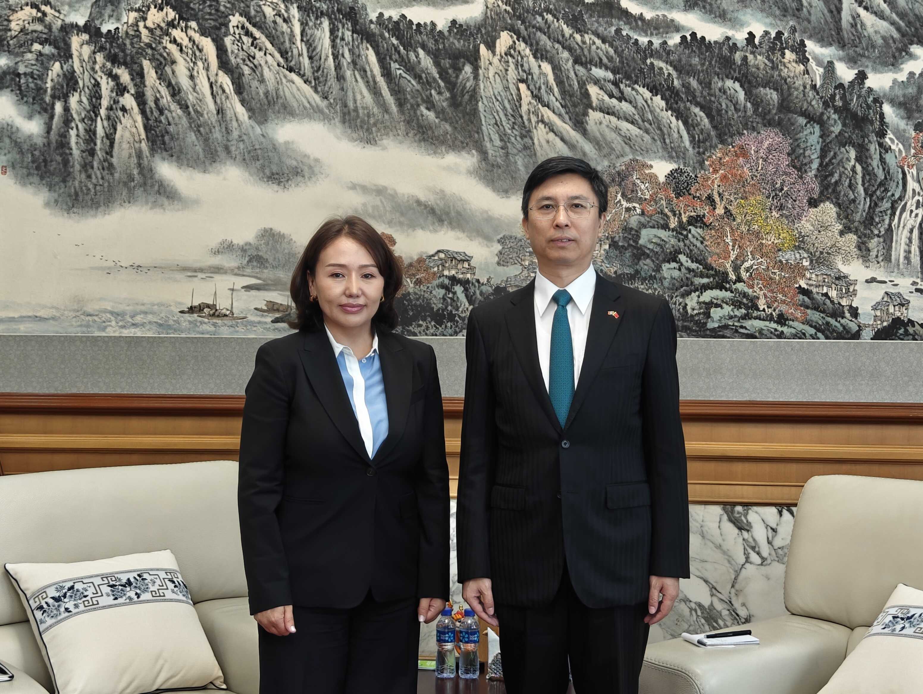 驻非盟使团胡长春大使接受中新社采访