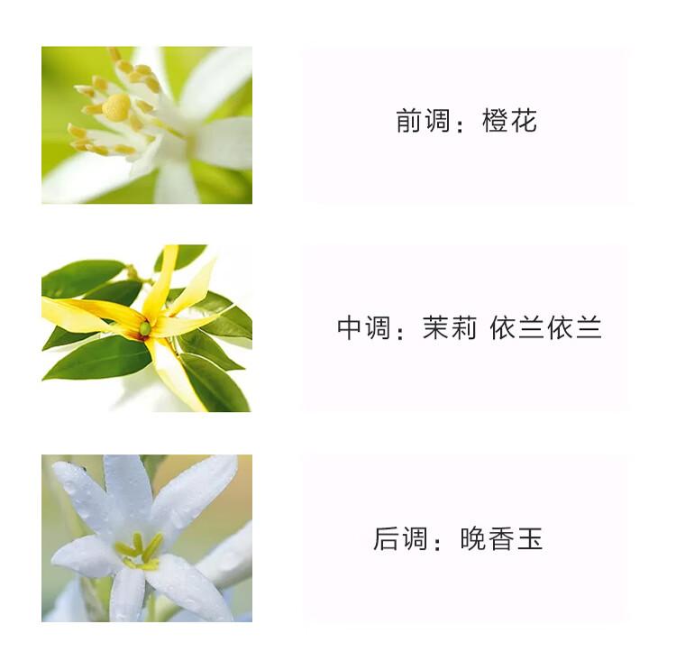 研究揭示气味如何让人改变想法