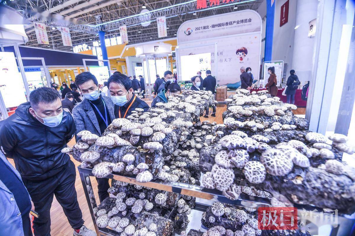 吉蜂蜜出口价格明显下降