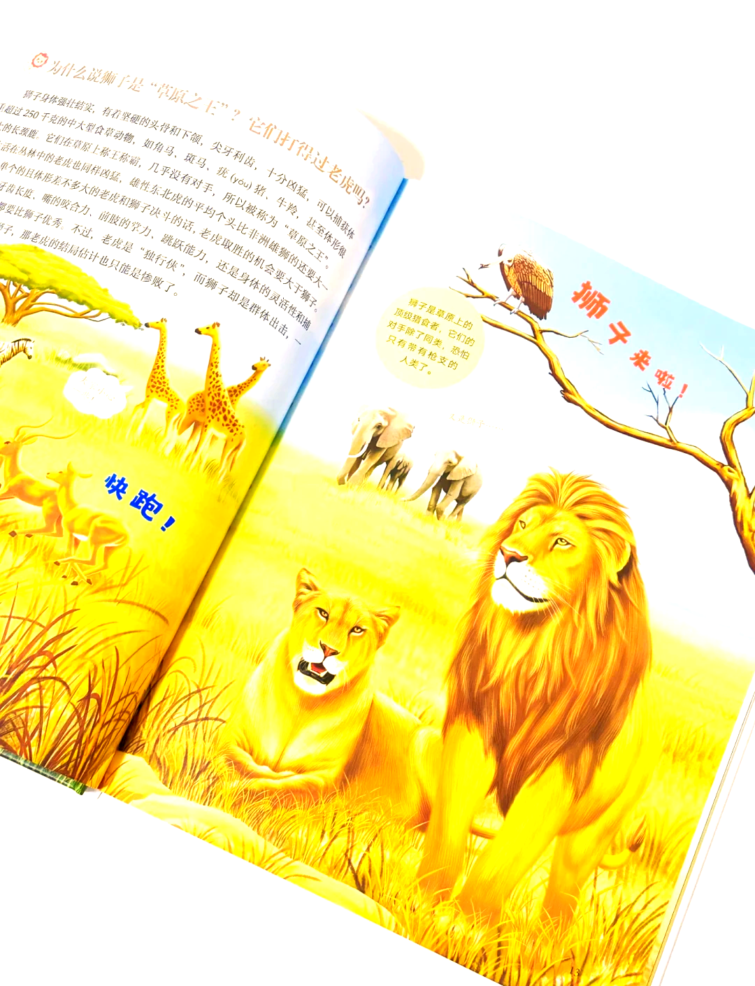 科普｜新研究：灵长类动物中并非总是雄性“说了算”