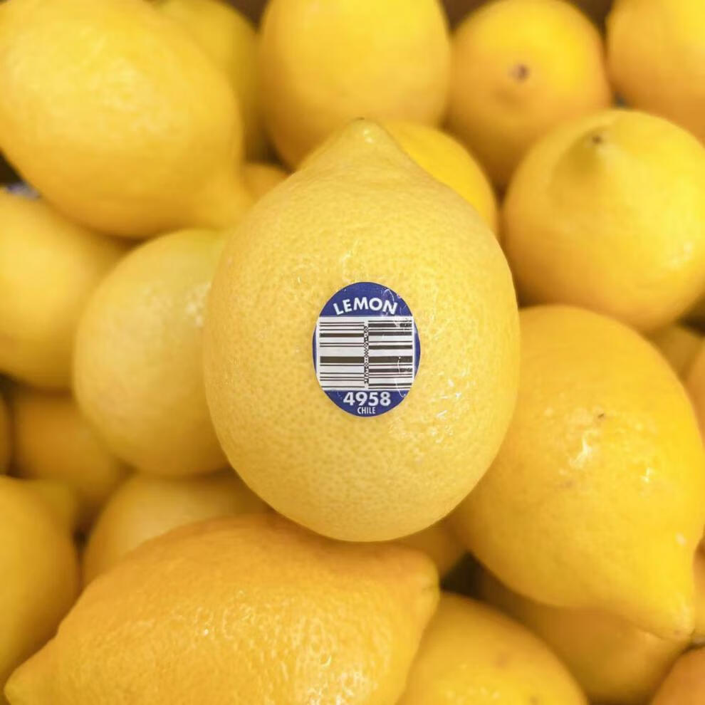 智利开辟鲜柠檬印尼市场