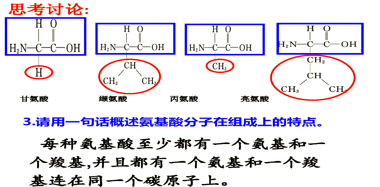 蛋白质合成，探索生命起源之谜