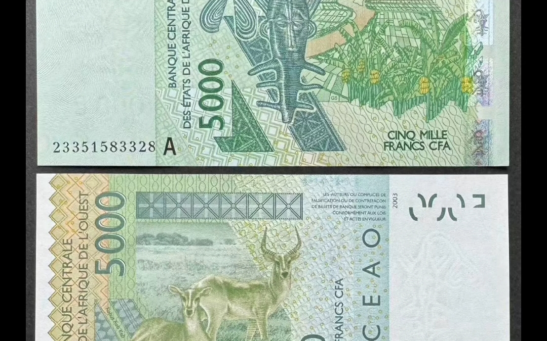 西非共同体将推出统一货币