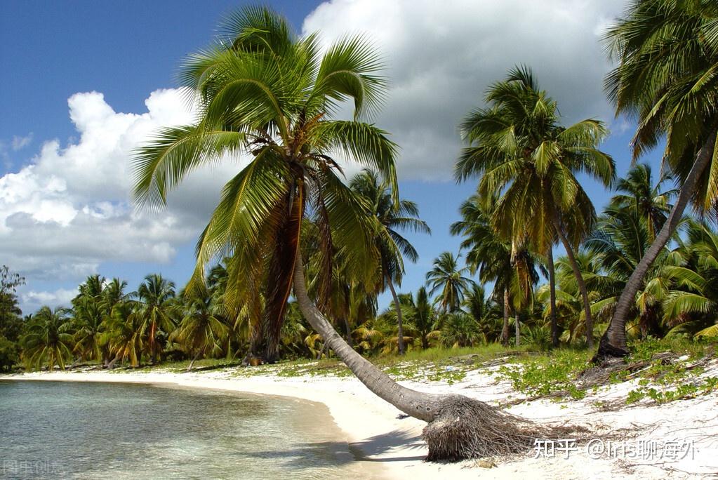 多米尼克成为非洲投资者首选“投资入籍计划”目的地之一