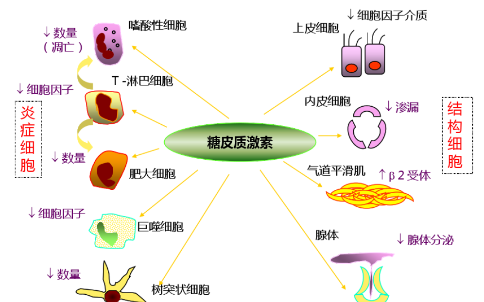 康弘药业获得发明专利授权：“甾体类化合物、用途及其制备方法”