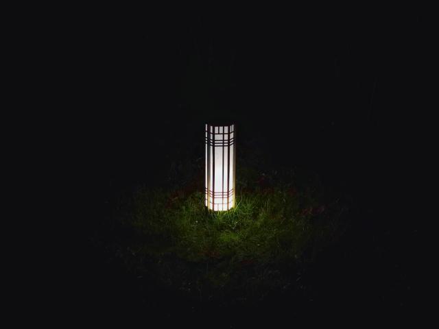 诺奖“提前的认可”，点亮一盏守望的灯