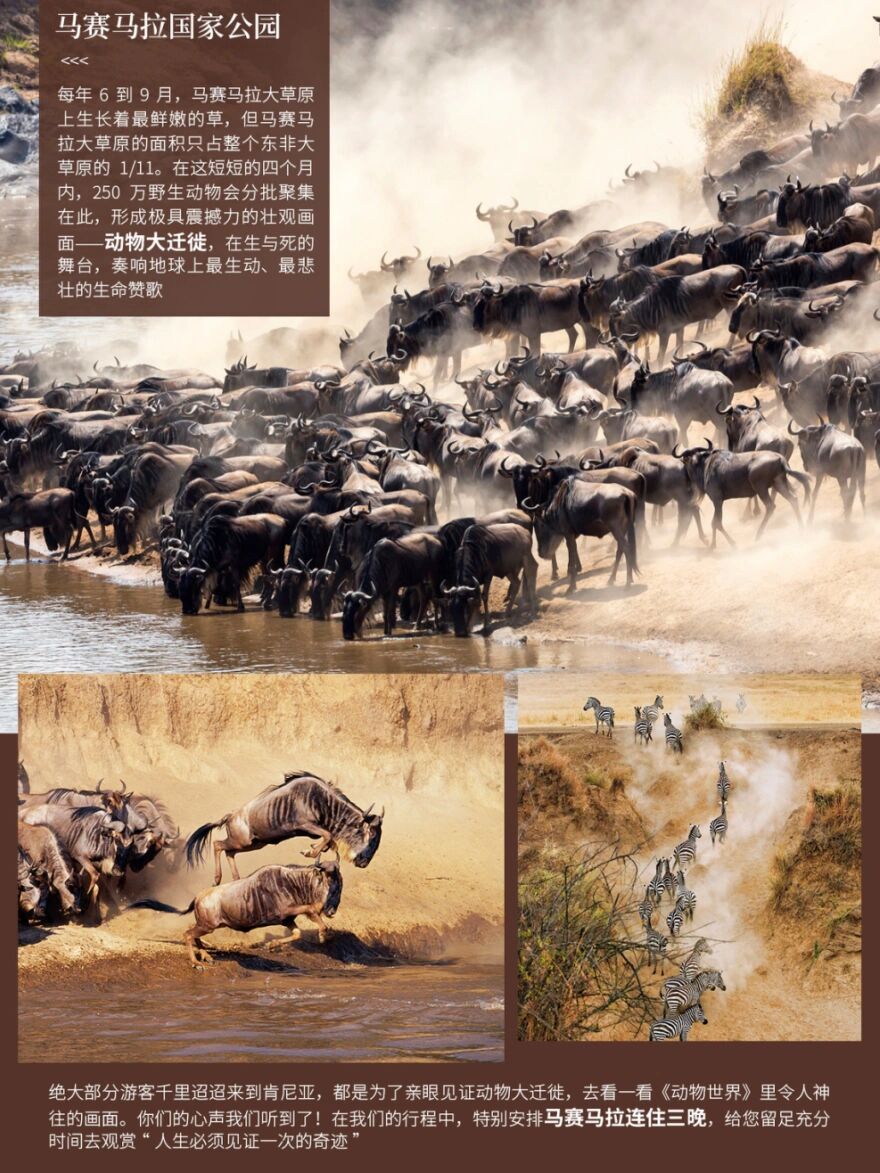 戴尔在阿联酋市场的份额已超过24%