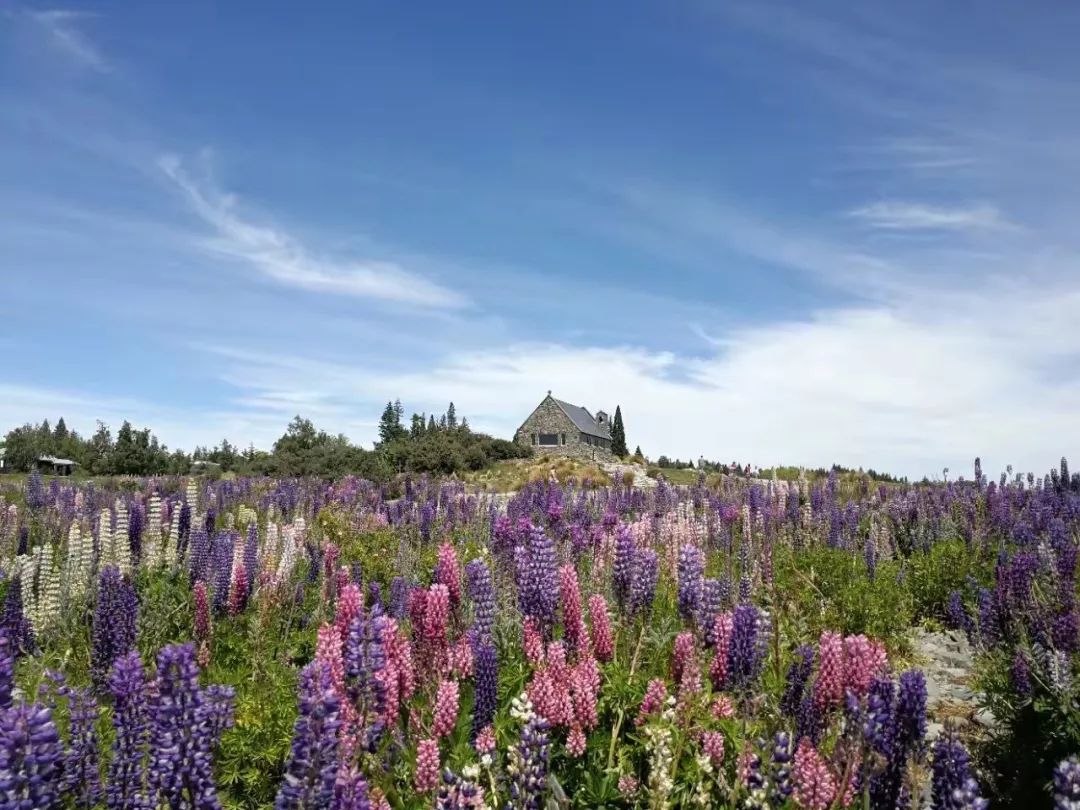 驻奥克兰总领馆经商处参访达能新西兰公司