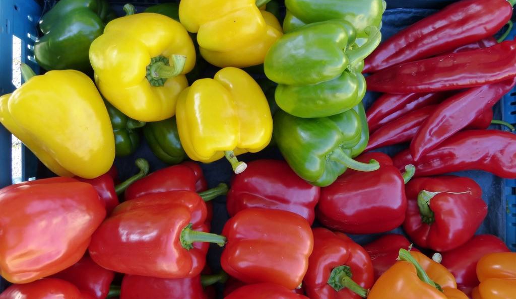 匈推出投资新政吸引高科技与绿色项目