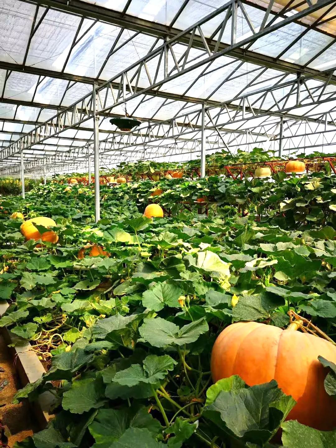 匈推出投资新政吸引高科技与绿色项目