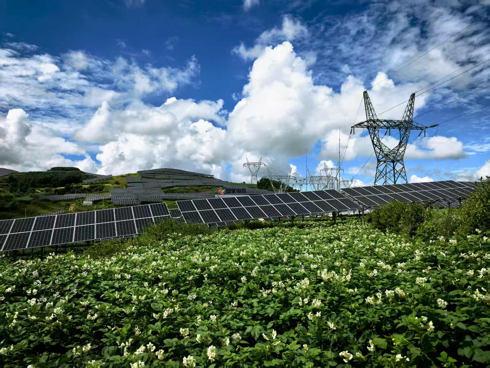 中国团队在光伏技术实现重大突破