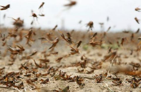 塔吉克斯坦哈特隆州月平均工资上涨