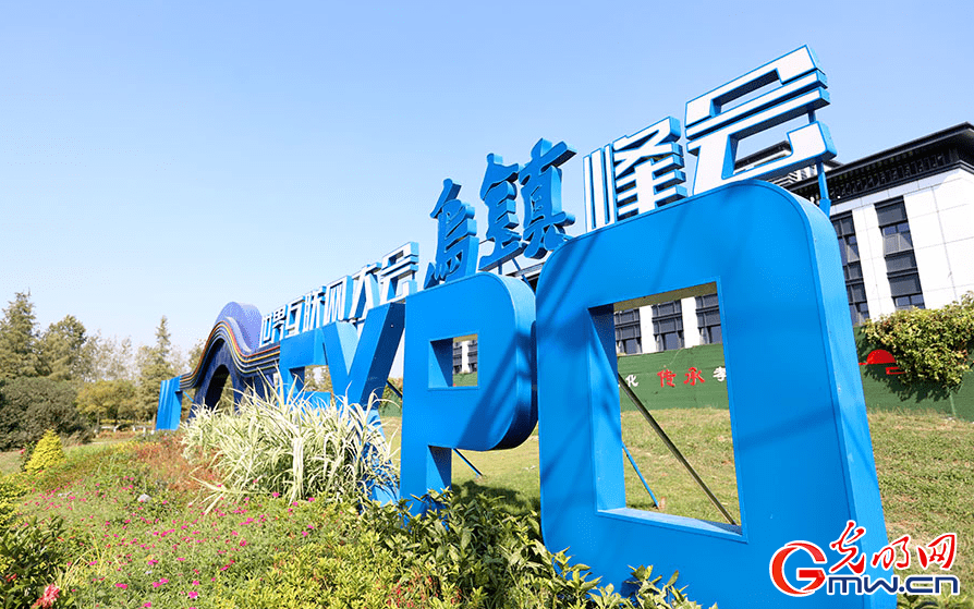 推动AI产业发展 世界互联网大会乌镇峰会释放重要信号