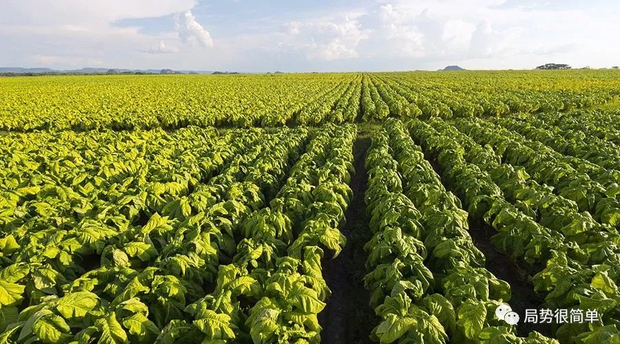 津巴布韦2025年第三季度新增46个投资项目