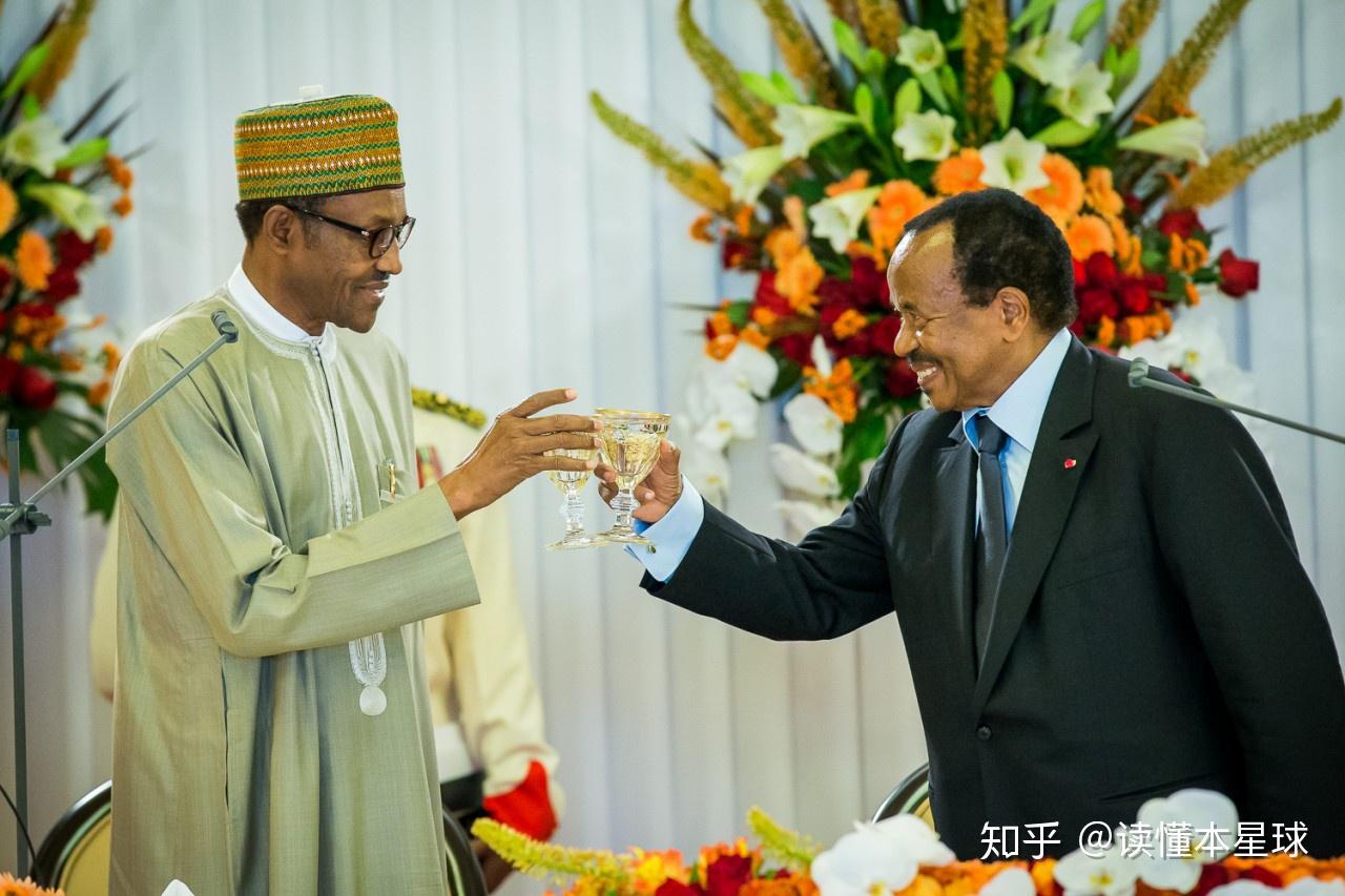 喀麦隆承诺到2030年成为电力出口国