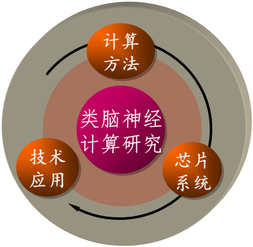 我国科研团队在神经网络信息处理机制研究中取得突破