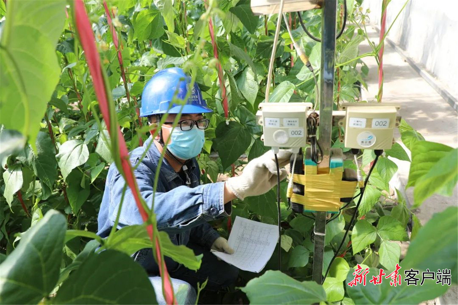 政策东风劲吹 绿债市场量质齐升