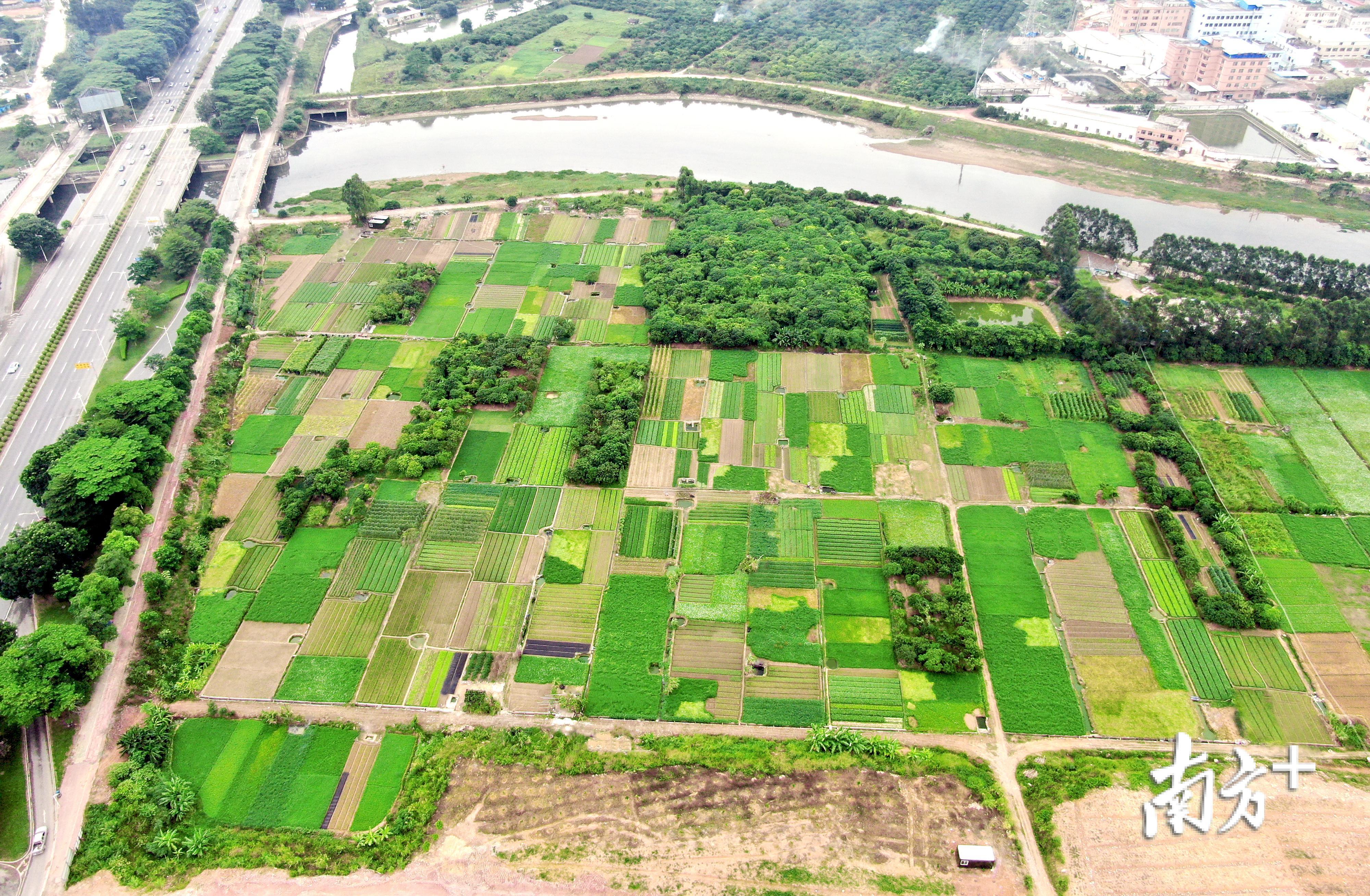 从纸面评审到田间实效,拼多多以赛事革新激活科技兴农实战力