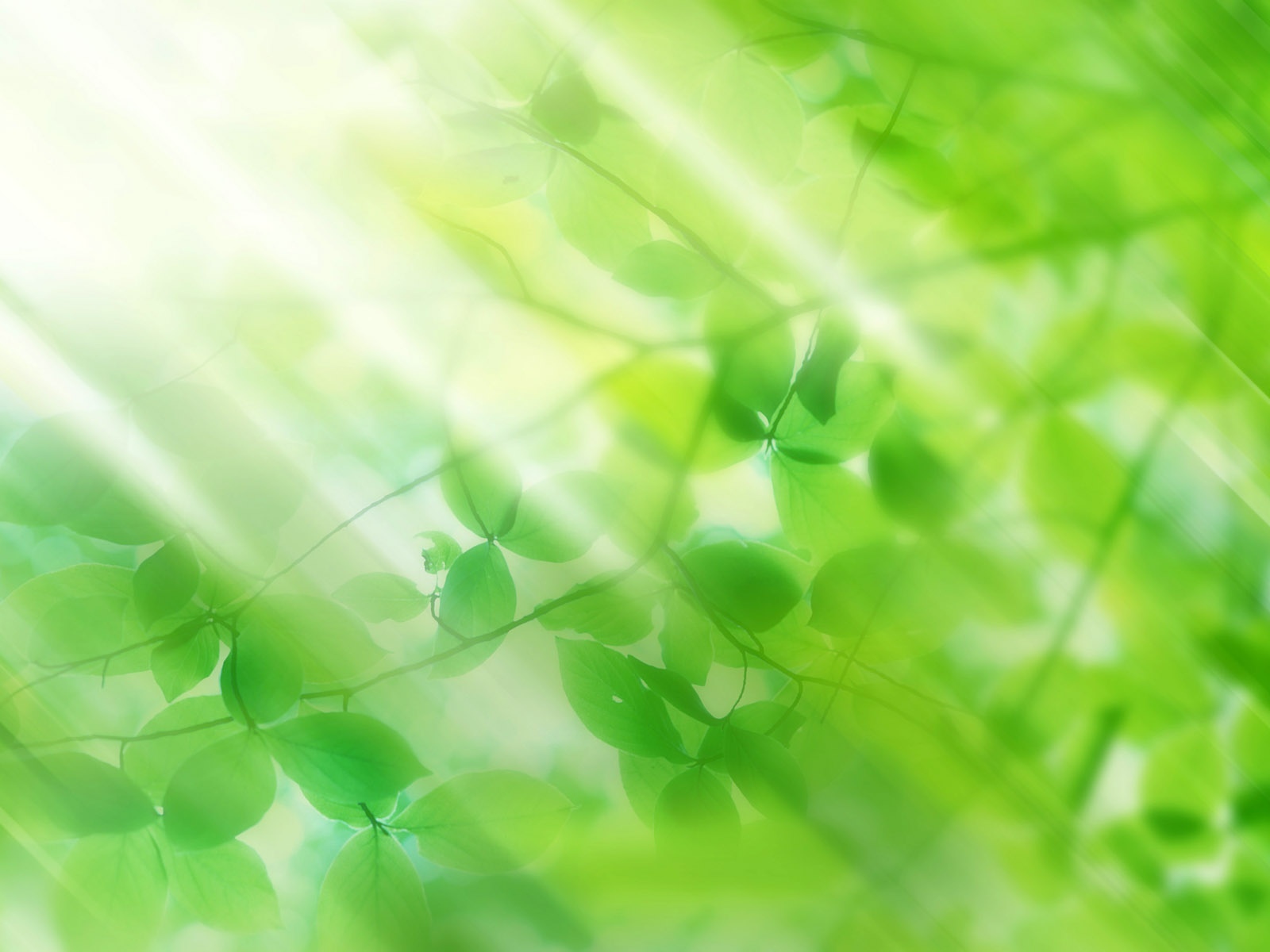 清新环境：尚未开展绿色甲醇生产及销售业务