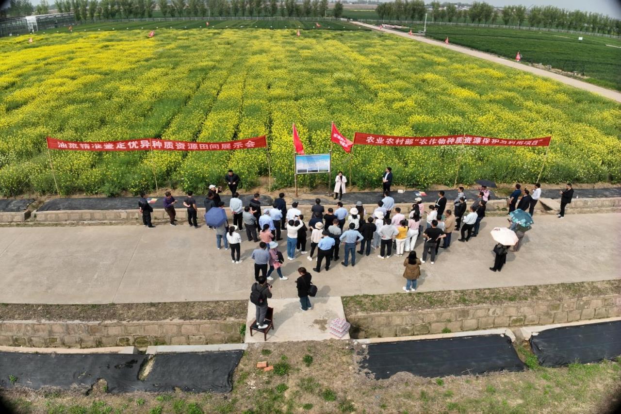 扩至91个！全国农业气象试验站网将优化调整