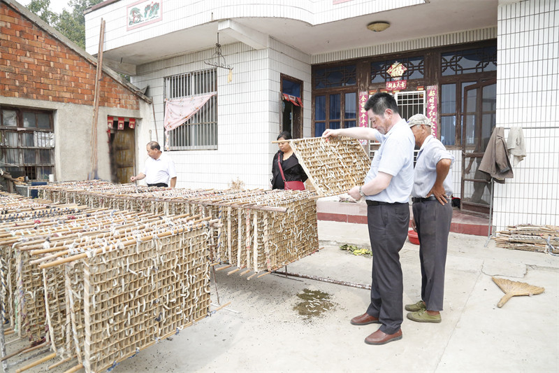 7部门发文开展茧丝绸产业“东绸西固”工作