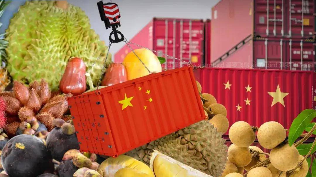 于维华参赞会见马里出口促进署副署长