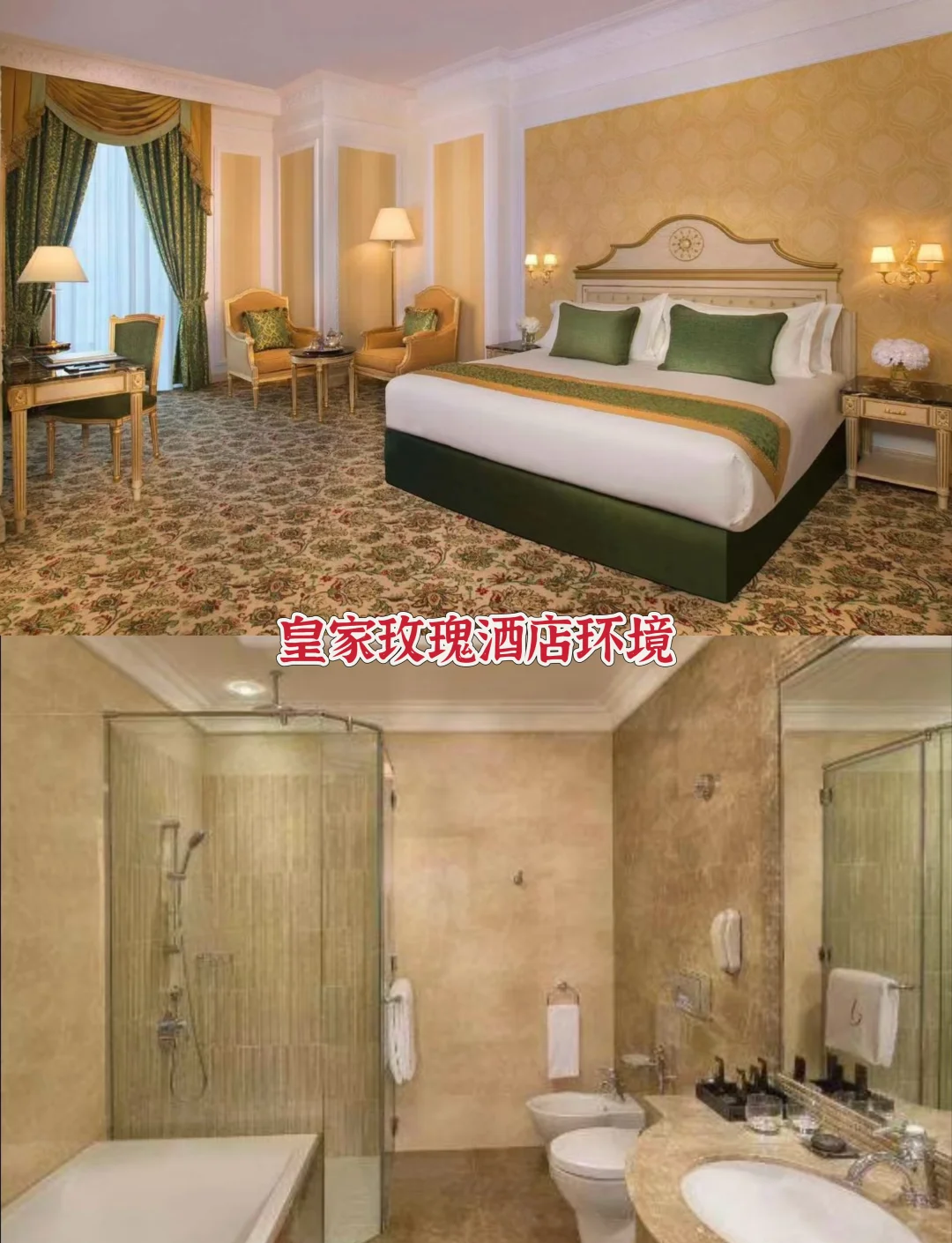 阿布扎比上半年文化景点游客超400万