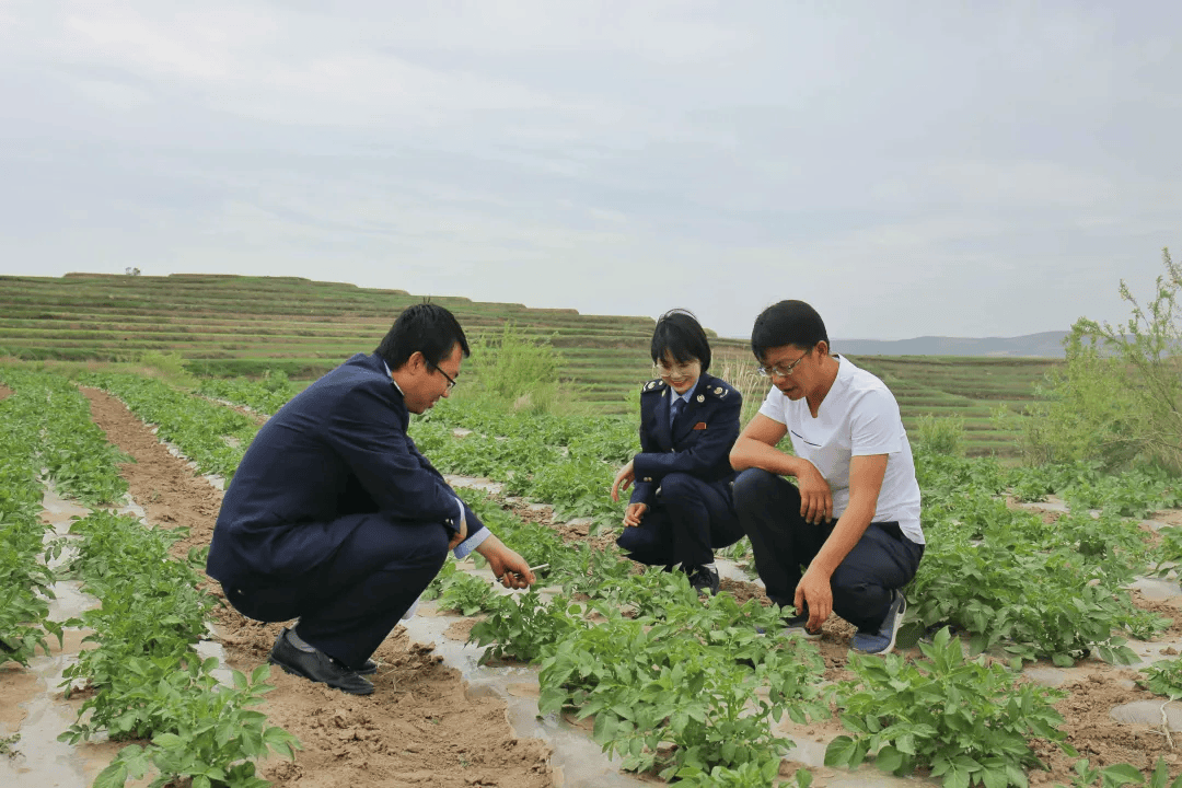 阿尔及利亚与IMF开展年度磋商介绍市场监管与外贸改革进展