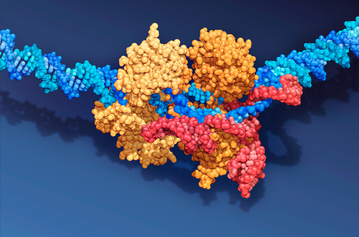 微生物“合成”大未来