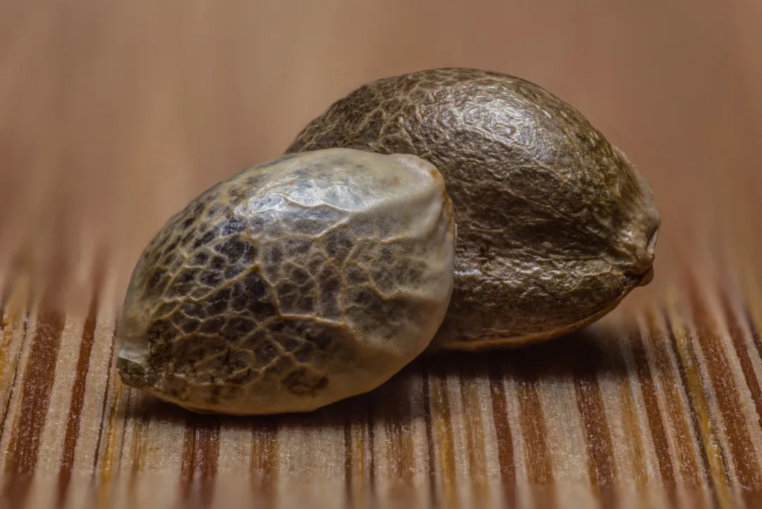 溢多利:目前没有工业大麻相关业务