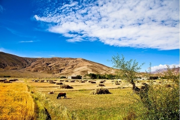 马拉佩总理称巴新是安全的投资选择