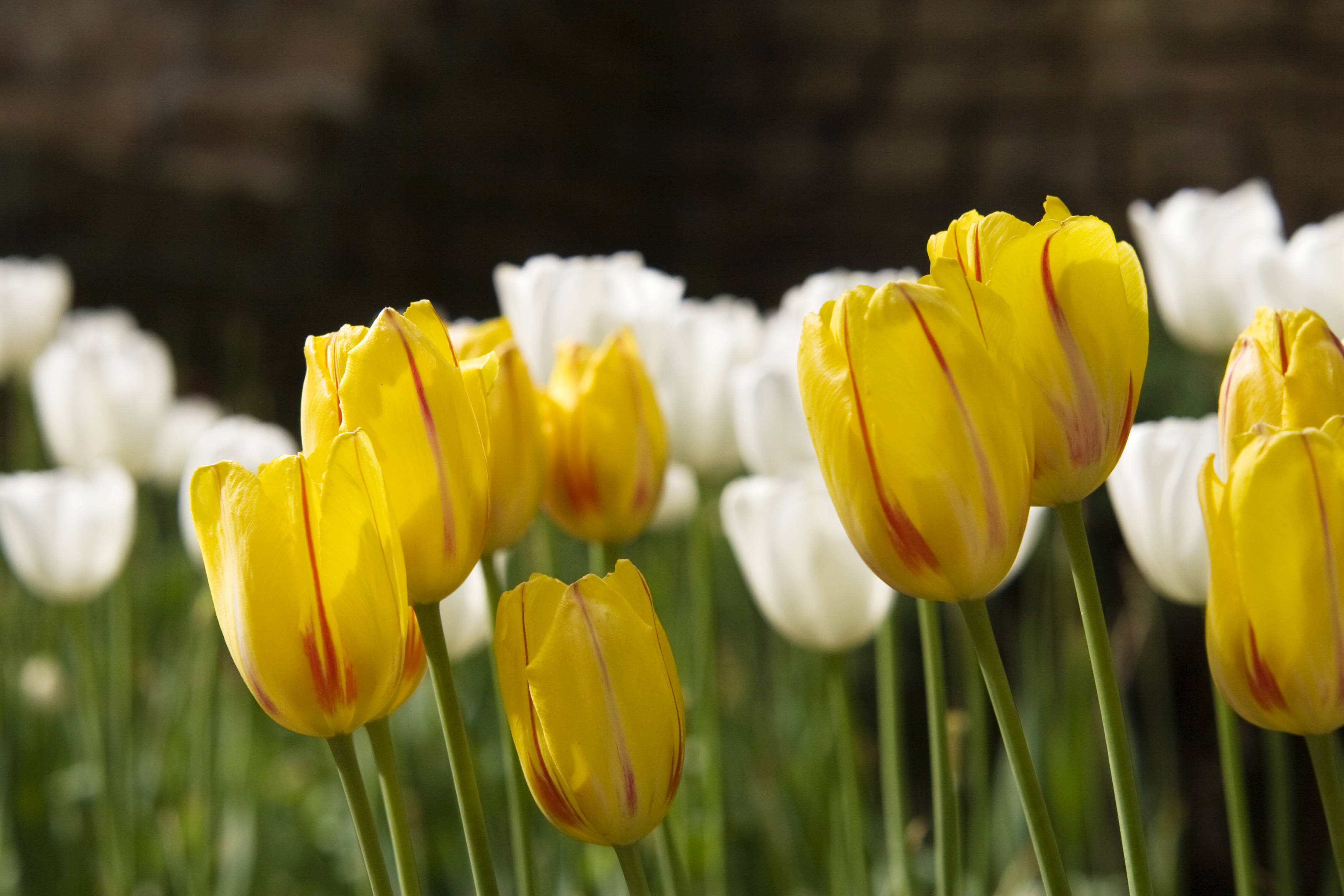 每周债市看点 | 时代控股集团新增未能清偿到期债务682.19万元 国厚资管因24.56亿元债务逾期未披露被通报批评