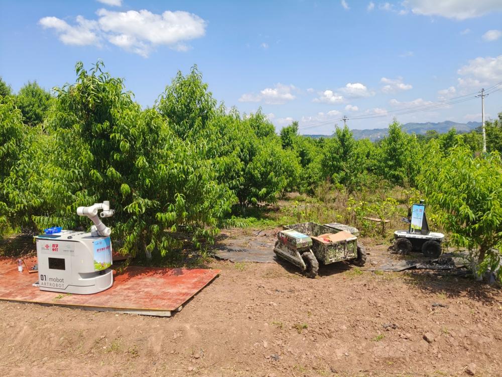 人工智能助数字乡村升级