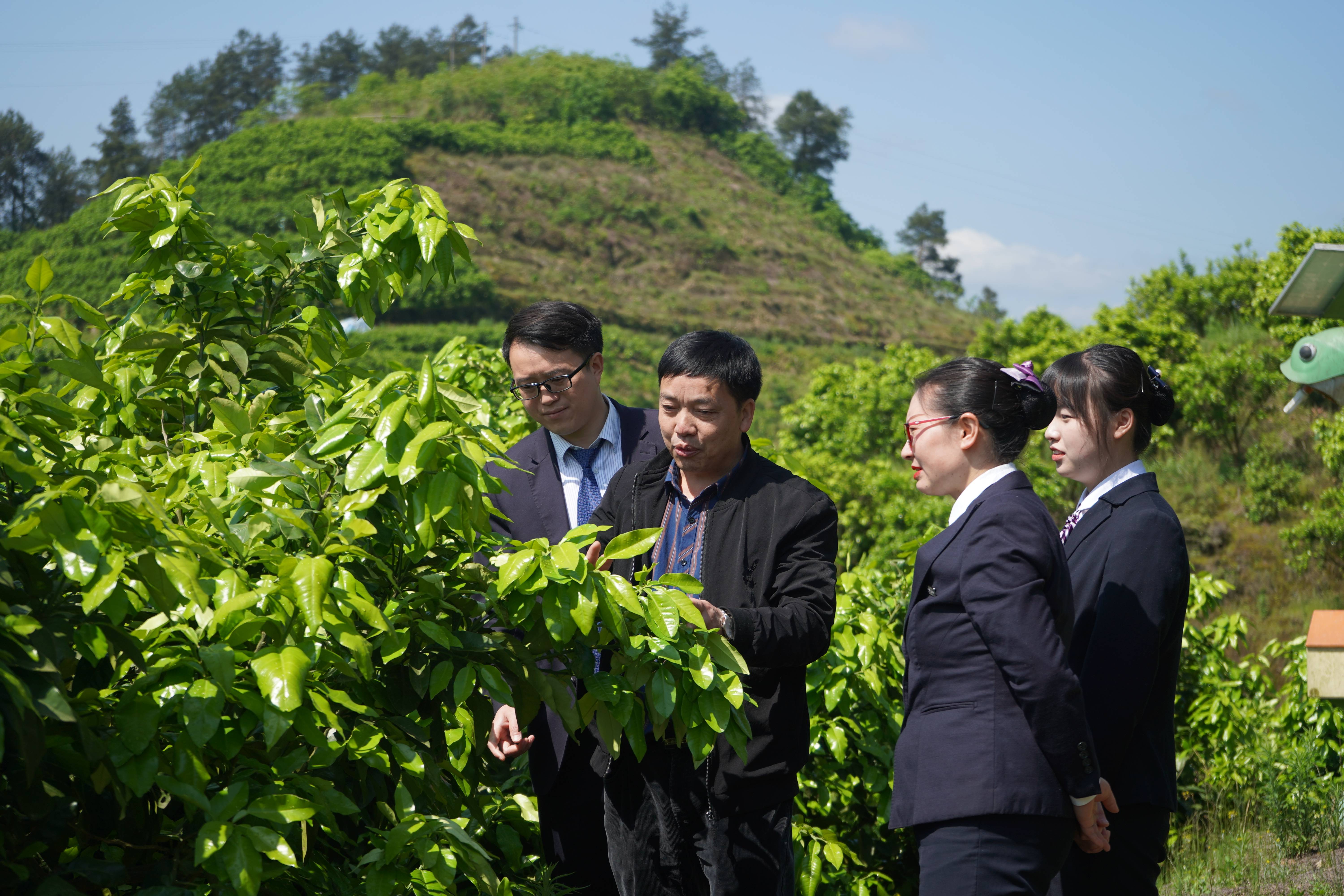 5000亿金融活水精准滴灌 河南交易所市场债券绘就“长钱图谱”