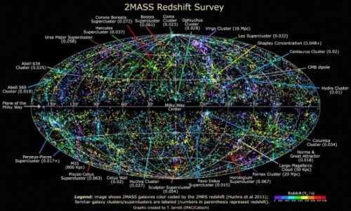 我科学家成功绘制陆地棉进化路线图