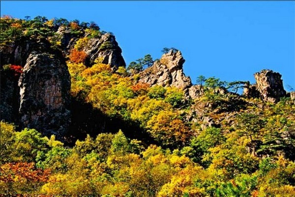 “太行三兄弟”完成评估验收 将带动我国燃气轮机行业发展