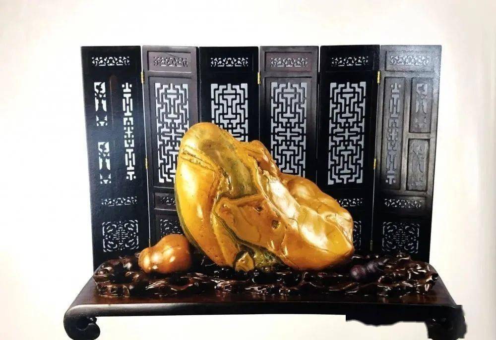 科学与健康丨对话“石头信使” 解码南极“身世之谜”