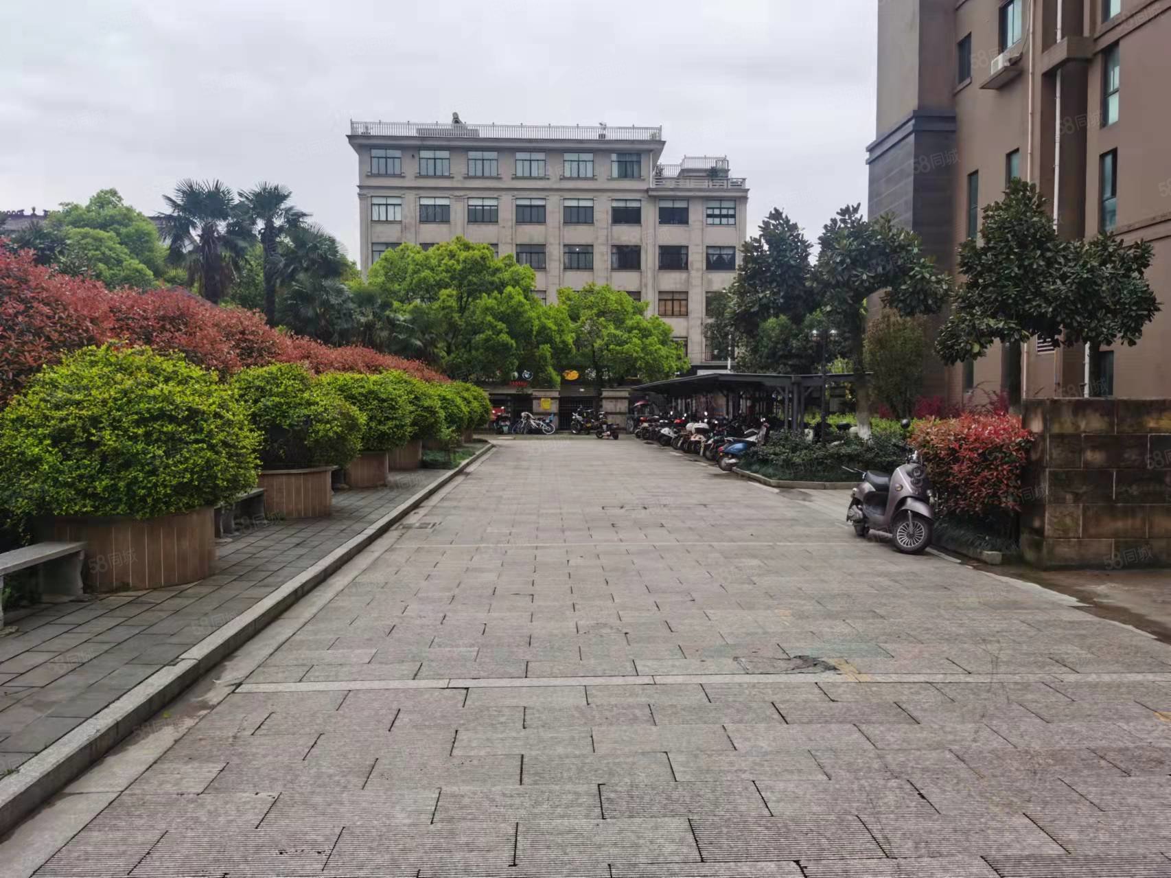 京泉华：截至2026年1月9日股东户数为54,127户