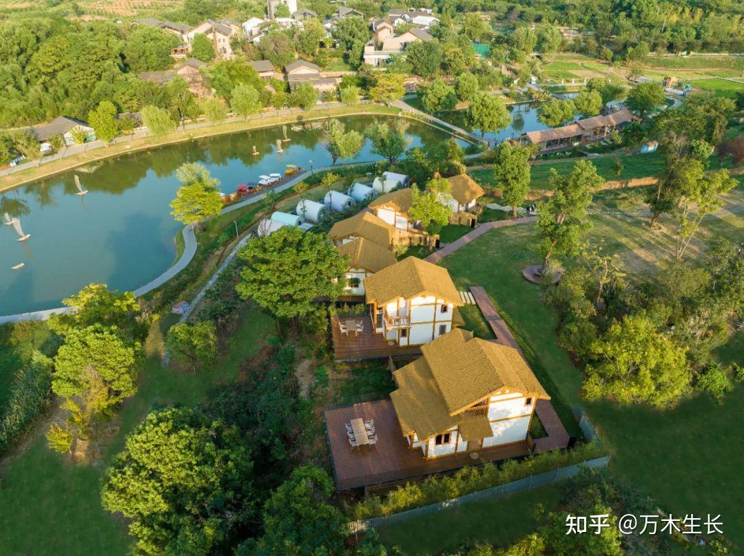 数字化与人工智能驱动阿联酋旅游业