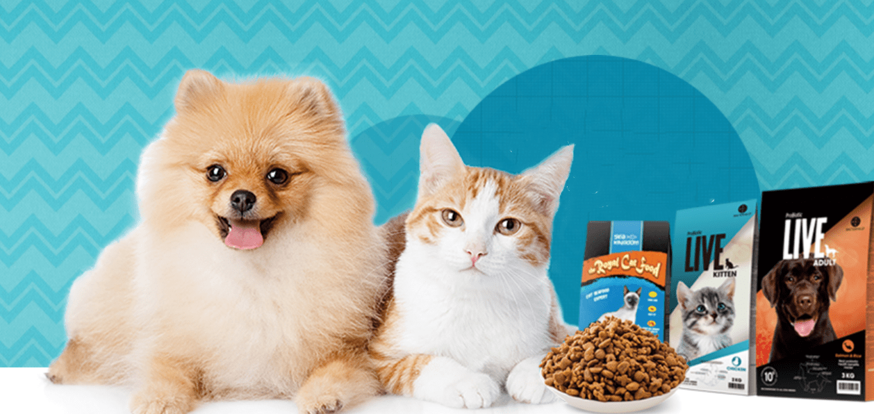 中宠股份:截至2026年2月28日,公司股东户数为36,038