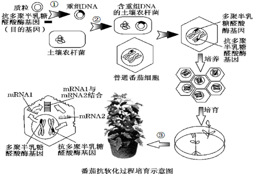 中国石化获得发明专利授权：“氧化催化剂及其制备方法和应用和醛合成酸的方法”