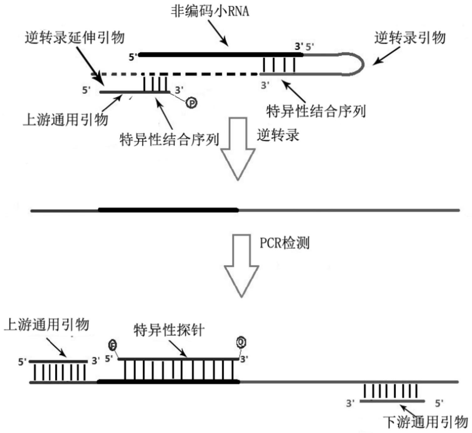 盛视科技获得发明专利授权：“基于视觉的拖挂车车厢倾斜角检测方法及检测系统”