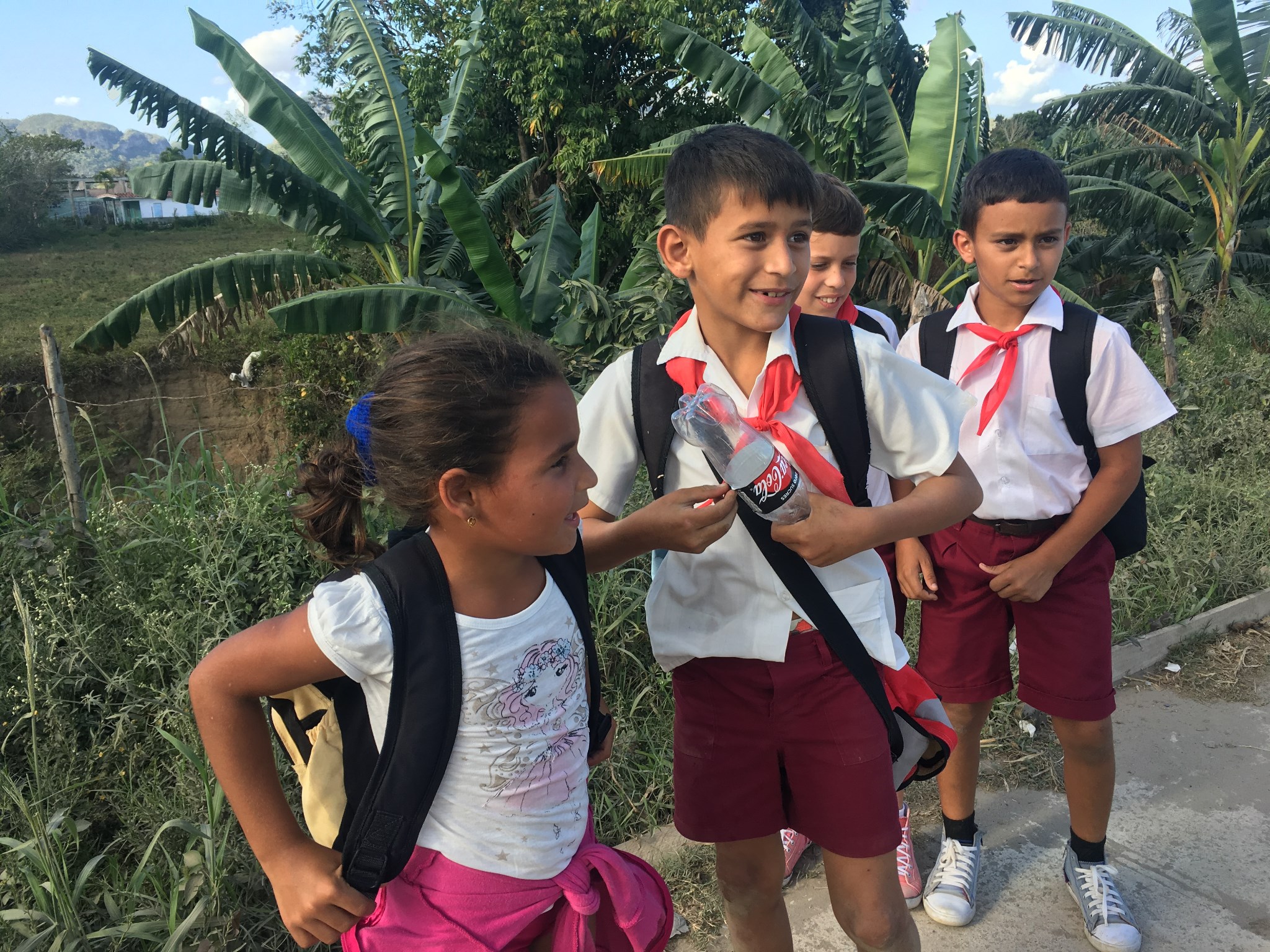 2025年古巴接待国际游客数创2002年以来新低