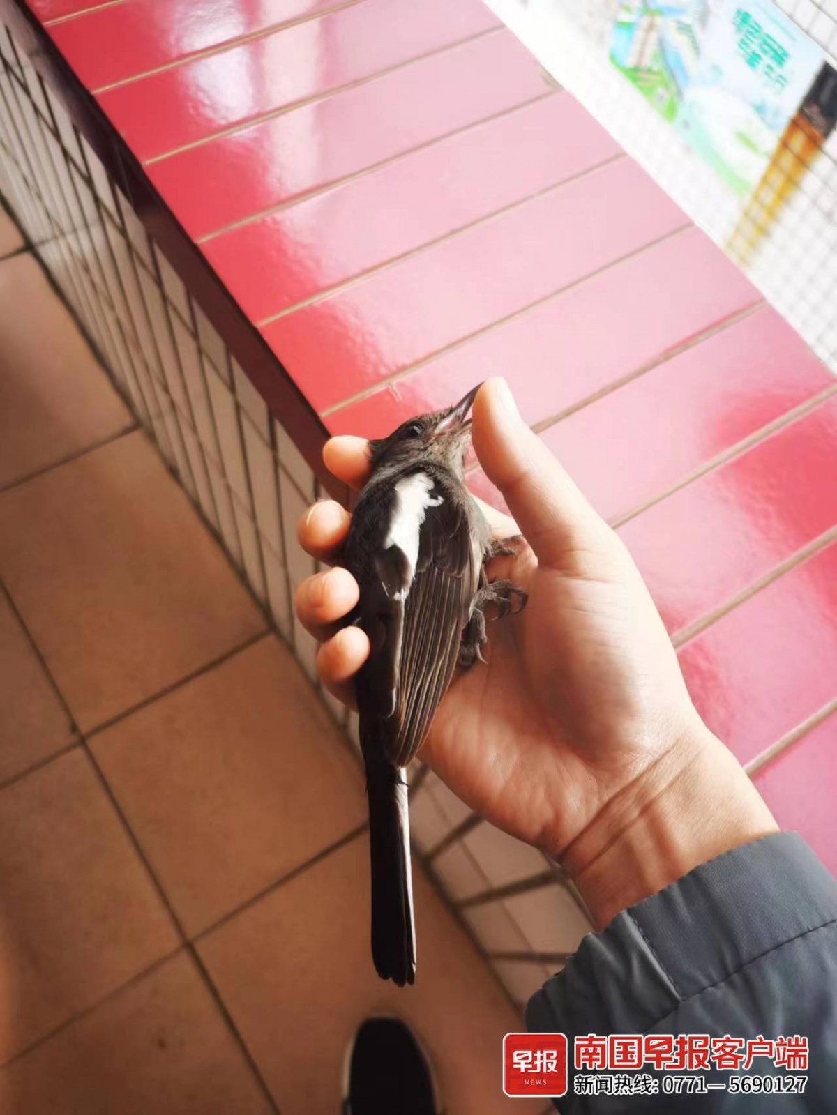 立方风控鸟·早报(3月21日)